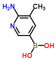 (3-Methyl-2-aminopyridin-5-yl)boronic acid